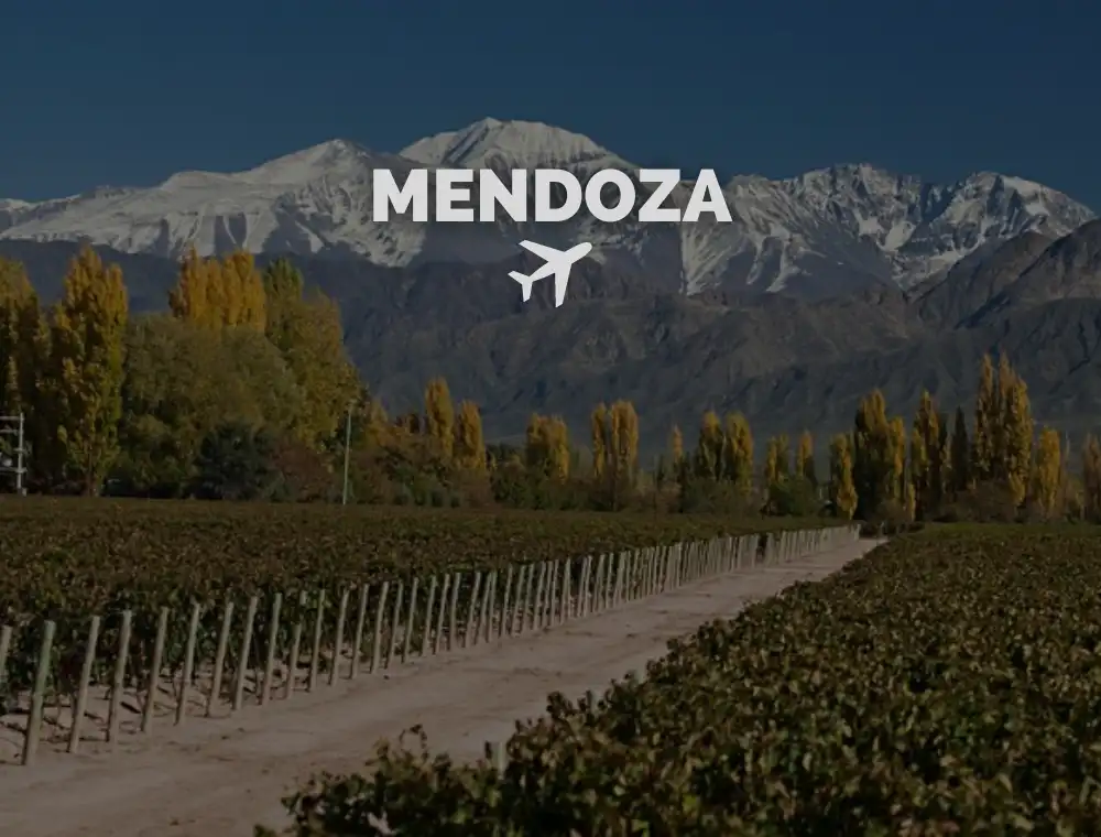 Vuelos de Buenos Aires (EZE) a Mendoza (MDZ): Descubre las Aerolíneas que Operan la Ruta!